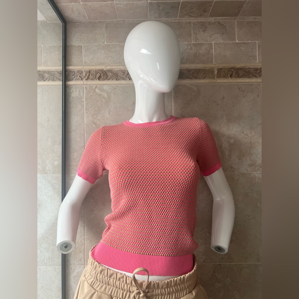 Zara Pink & Tan Knit Top